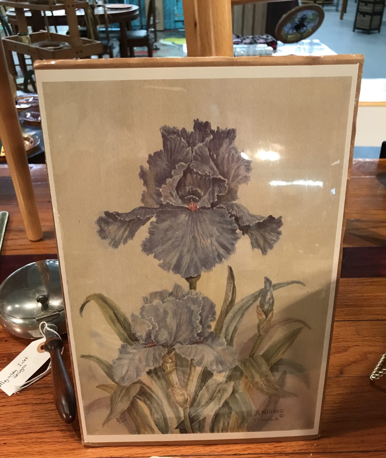 Iris print-unframed • Lovely print just waiting for the right frame to make it work for you l!